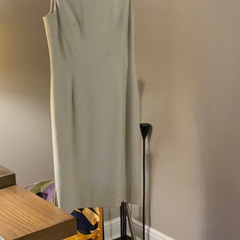 Elegant Sleeveless Dress